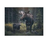 Rompecabezas para Adultos52x38cm/1000pcs Moose with Cub Rompecabezas para Adultos Juegos Familiares Decoración del Hogar Regalos para Amigos Y Familiares 52x38cm/1000pcs