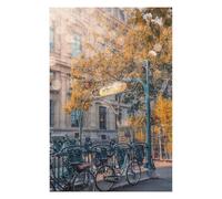 Rompecabezas para Adultos75x50cm/1000pcs Sunlight In Paris Rompecabezas para Adultos Juegos Familiares Que Mejoran La Memoria Oferta como Regalo para Toda La Familia 75x50cm/1000pcs