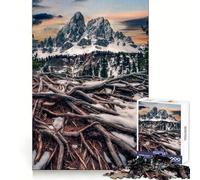 Rompecabezas Passo Delle Erbe para Adolescentes, 1000 Piezas, lógica Fina, Juguete Suave, Relajante, Bordes limpios, Regalo Premium (38x26cm)