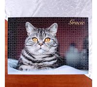 Rompecabezas personalizado de retrato de mascotas con marco de madera, utilizando la foto de tu mascota, rompecabezas de perro y gato, rompecabezas personalizado para mascotas, alternativas de álbum