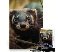 Rompecabezas Polecat Up Close de 1000 Piezas para Adultos Refuerza la Memoria Ocio Diversión Calidad Borde Elegante Regalo (50x75cm)