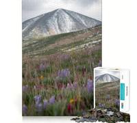 Rompecabezas Pradera de montaña con Flores Silvestres para Adolescentes, 1000 Piezas, Juguete de lógica Resistente, diversión compartida, Bordes Transparentes, Bonito Regalo (38x26cm)