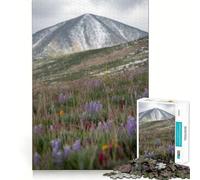 Rompecabezas Pradera de montaña con Flores Silvestres para Adultos, 1000 Piezas Juguete para ejercitar la Mente Disfrute del diseño y el Montaje Un Regalo Encantador (50x75cm)