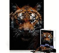 Rompecabezas Rage in The Shadows para Adolescentes, 1000 Piezas, colección Recall Upgrade Calm Relax Clear Cut Art Piece (50x75cm)