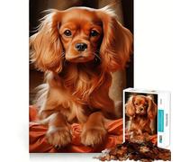 Rompecabezas Ruby Cavalier King Charles Spaniel de 1000 Piezas para Adolescentes, Juego Inteligente para Jugar en Grupo, Montaje de imágenes, decoración de Pared (50x75cm)