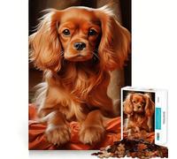 Rompecabezas Ruby Cavalier King Charles Spaniel de 1000 Piezas para Adolescentes, Juguete de lógica, Tren, Entretenimiento, Corte Suave, (38x52cm)