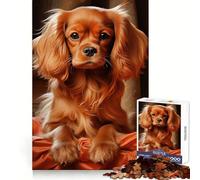 Rompecabezas Ruby Cavalier King Charles Spaniel de 1000 Piezas para Adultos Ayuda a Mejorar la Memoria y Alivia la ansiedad Diseño artístico para armar Regalo Ideal (38x26cm)