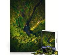 Rompecabezas Santuario Tropical Secreto de 1000 Piezas para Adolescentes Ideal para estimular la Memoria, entretenerse en casa o armar Un Regalo Encantador (50x75cm)