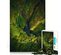 Rompecabezas Santuario Tropical Secreto de 1000 Piezas para Adultos Refuerza la Memoria, entretiene y se Divierte Regalo Elegante (38x26cm)