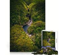 Rompecabezas Serene Oasis de 1000 Piezas para Adolescentes Juguete de lógica, Sencillo y Divertido Bordes Suaves Regalo Elegante (38x26cm)