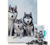 Rompecabezas Siberian Husky Pack para Adolescentes, 1000 Piezas, Juguete Lógico para Estimular la Lógica, Alegría Familiar, Borde Premium, 50x75cm