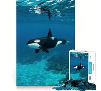 Rompecabezas Submarino de orcas para Adultos, 1000 Piezas, fortalece la Memoria, pasatiempo para el hogar, Bordes limpios, Regalo Elegante (50x75cm)