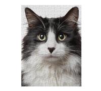Rompecabezas1000pcs(52x38cm) Black & White Fluffy Cat Rompecabezas para Adolescentes Juegos Relajantes Decoración del Hogar Cumpleaños Y Navidad 1000pcs(52x38cm)