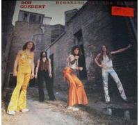 RON GOEDERT - breaking all the rules LP