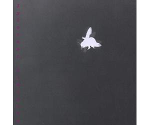 Ronchetti/Maurer/Braig : Xylocopa Violacea. Alto et électroniques.
