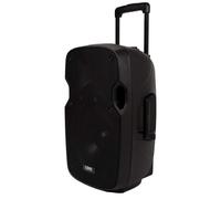 Rondson - Altavoz amplificado portátil LA-12A