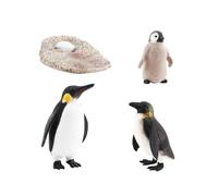 rongweiwang Juguete Educativo Naturaleza Animales Ciclos de Vida Juego de Crecimiento Prop Herramientas Divertidas Inspirar Mentes jóvenes con Historias Crecimiento la