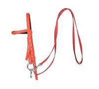 Ronyme Brida para Equitación con Cabezada Ajustable Filetes Accesorio Hípico Material Reforzado Adecuada para Prácticas Senderos Formación Caballerizas, Rojo, Pequeño