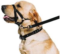 Ronzal de Entrenamiento para Perro Ancol