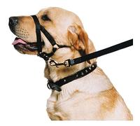 Ronzal de Entrenamiento para Perro Ancol