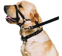 Ronzal de Entrenamiento para Perro Ancol