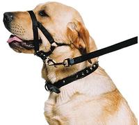 Ronzal de Entrenamiento para Perro Ancol