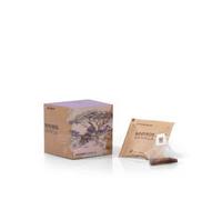 ROOIBOS VAINILA ECO PIRAMIDE 1X10 (CJ12)