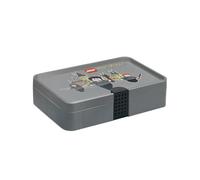 Room Copenhagen Caja de Ordenamiento LEGO - Organizador de Minifiguras, Vehículos y Elementos - Material Plástico Seguro, Portátil y Personalizable, Harry Potter