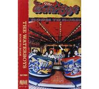 Room to Roam [Casete]