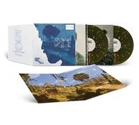Room Under The Stairs (Edición limitada Color Verde Bosque) [Vinilo]