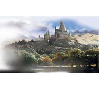 ROOMMATES JL1250M - Mural prepegado para riel de silla de Harry Potter de 6 pies x 10.5 pies