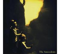 Rooster Takes Credit for the Rising Sun