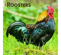 Roosters | Calendario mensual cuadrado de pared 2025 de 12 x 24 pulgadas | Sin plástico | BrownTrout | Animales de granja doméstica
