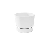 Root & Vessel Maceta, Blanco Mate, 8.5 Pulgadas