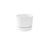 Root & Vessel Majestic Mid-Century - Maceta cilíndrica Moderna de Perfil bajo, Blanco Mate, 16,5 cm