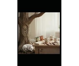 Rooted Women: Growing Through Grace: Book One: Finding Faith and Strength in Every Season