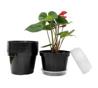 RooTrimmer Macetas de plástico de 8 Pulgadas, Paquete de 12 macetas con platillos Transparentes para Plantas Que Crecen en Interiores y Exteriores, para decoración (Color Negro)