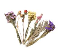 Ropa de cama de hámster de flores, ropa de cama de jerbo natural, soporte floral puro, decoración de hábitat de animales pequeños, decoración de jaula de flores para conejos, erizos, bodas, camping