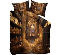 Ropa de Cama Monedas De Oro,Tesoros Antiguos Perdidos Juegos de Ropa de Cama de 3 Piezas,Reinos Y Castillos Funda nórdica de 135x200cm y 2 Funda de Almohada de 50 x 75 cm
