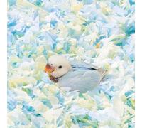 Ropa de cama para animales pequeños, material de papel de algodón para anidar pájaros, mejora el entorno de reproducción, bajo control de olores de polvo para pájaros, loros, periquitos, cobayas