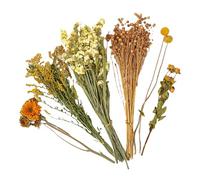 Ropa de cama para hámster con flores secas - Decoración de hábitat natural Chinchilla,Decoración jaula de hámster | para bodas Camping Fiestas temáticas Navidad Pascua Festivales de Arte Padres de