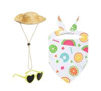 Ropa de gansos para porche, disfraz de gansos de jardín, ropa de gafas de sol, sombrero de paja para cemento, animales, muebles para el hogar, ventana, exhibición junto a la piscina, fiesta en la