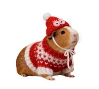Ropa para Hámster Jersey con Capucha para Animales | Disfraz con Capucha de Animales Pequeños para Conejo Cobaya Hámster Hurón Chinchilla Erizo Roedor