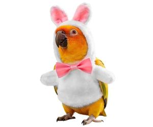 Ropa para pájaros: abrigo con capucha cortavientos con diseño de conejo, ropa ajustable para pájaros con ajuste seguro | Ideal para estaciones frías, paseos al aire libre, Semana Santa, vida cotidiana