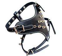Rordigo Chaleco de para cachorros con púas y remaches para perros pequeños, arnés para perros pequeños, correa para perro, 1 pieza, color negro