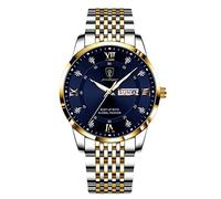 RORIOS Reloj Hombre Luminoso Calendario Reloj Análogo Cuarzo Reloj con Correa en Acero Inoxidable Moda Impermeable Reloj de Pulsera para Hombre