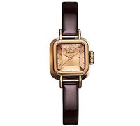 RORIOS Reloj Moda Analógico Cuarzo Mujer Simplicidad Impermeable Vestir Cuadrado de Pulsera Pequeño Esfera Correa de Cuero