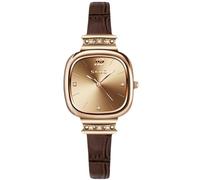 RORIOS Relojes Minimalista de Pulsera para Mujer Reloj Mini Cuadrado Pequeño Reloj Señoras Elegante Relojes Analógico Cuarzo Reloj con Correa de Cuero Marrón