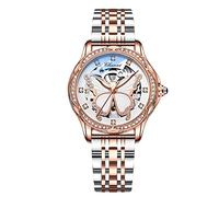 RORIOS Relojes Mujeres Luminoso Esqueleto Reloj con Correa de Acero Inoxidable Mecánico Automático Reloj Diamante Relojes de Pulsera