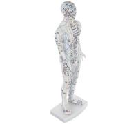 RORPOIR Modelo Identificación Clara de Acupuntura en Plástico Blanco Masculino en Puntos de Presión y Meridianos para Formación y Entrenamiento Profesional